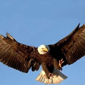 Meet your Posher, Gail